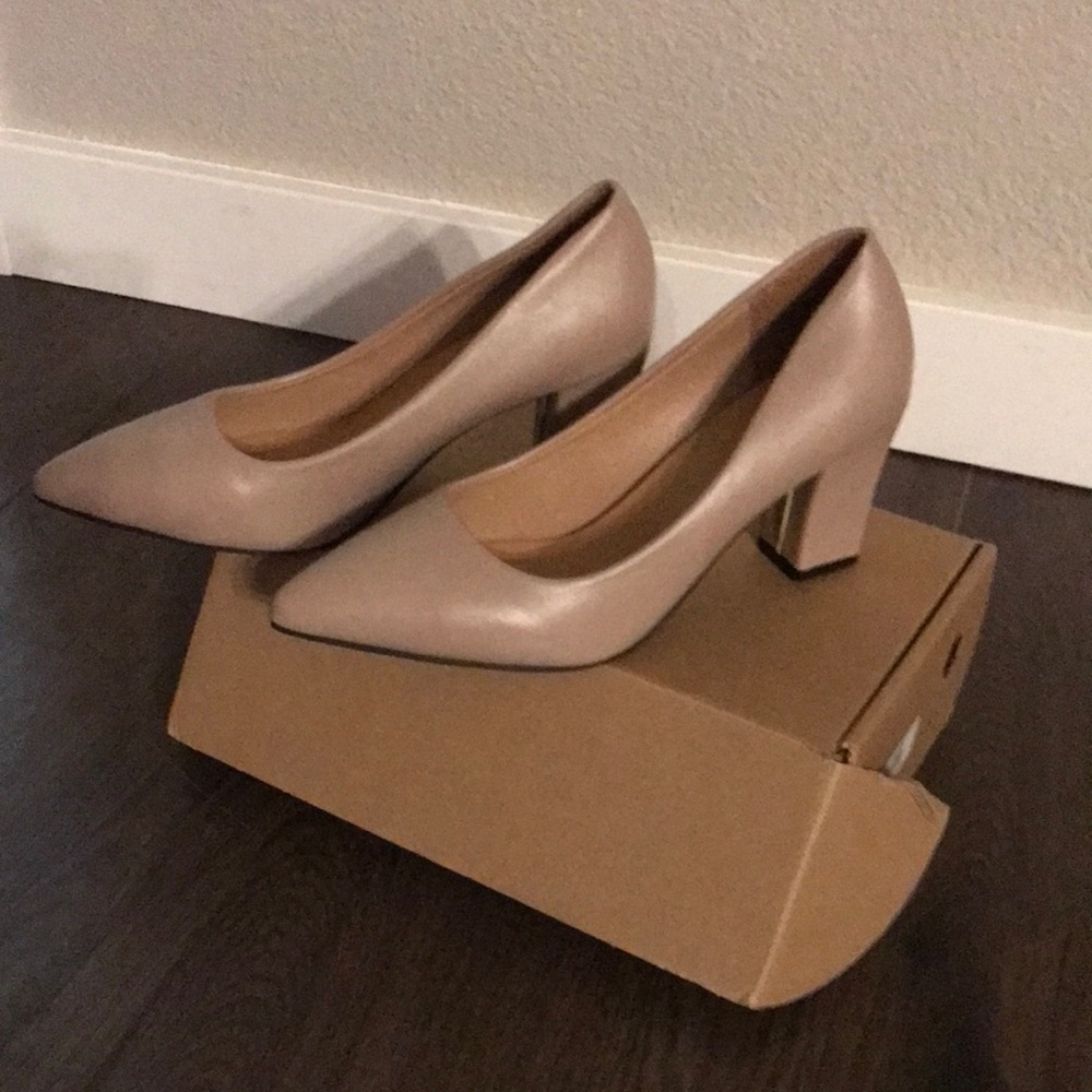 Women's Pointed Toe Block Heel Pumps - Nude
